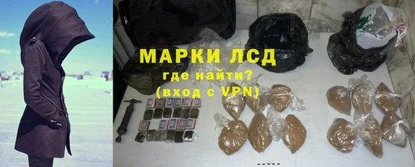 ГАЛЛЮЦИНОГЕННЫЕ ГРИБЫ Вязьма