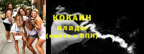 крисы Вязники