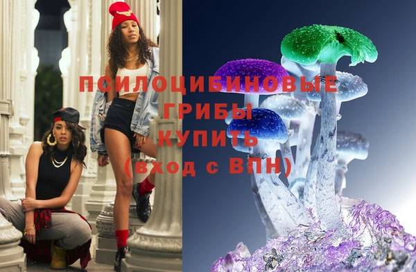 кокс Вяземский