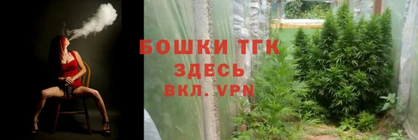 ГАЛЛЮЦИНОГЕННЫЕ ГРИБЫ Вязьма