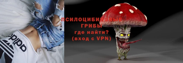 кокс Вяземский