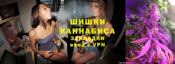 ГАЛЛЮЦИНОГЕННЫЕ ГРИБЫ Вязьма