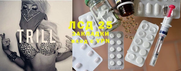ГАЛЛЮЦИНОГЕННЫЕ ГРИБЫ Вязьма