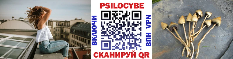 Псилоцибиновые грибы мицелий  Оренбург 